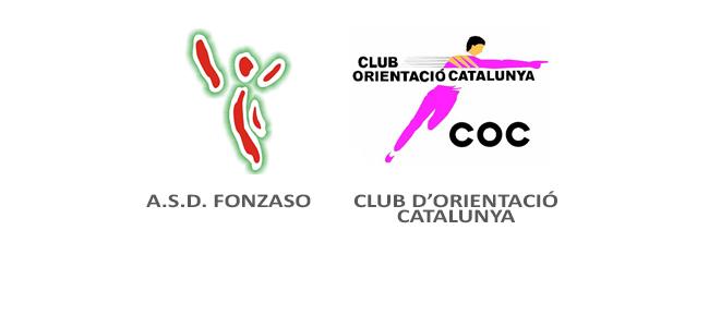 Società gemellate