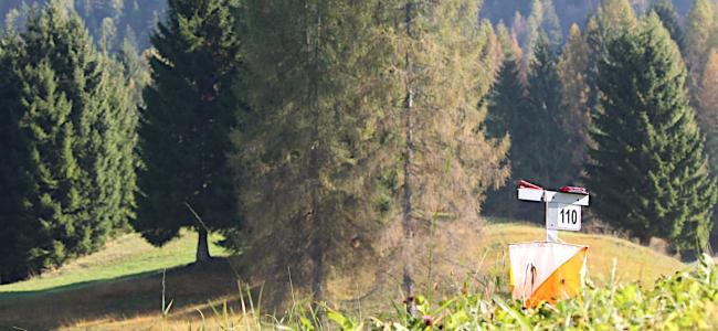 Orienteering - Campionati Italiani staffetta e long 2024