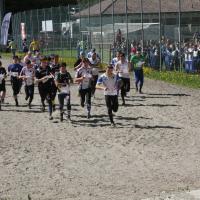 Campionato trentino staffetta CO - 18/05/2014