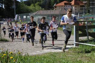 Campionato trentino staffetta CO - 18/05/2014