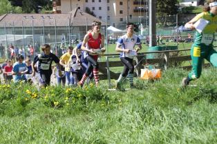 Campionato trentino staffetta CO - 18/05/2014