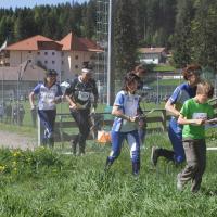 Campionato trentino staffetta CO - 18/05/2014