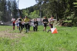 Campionato trentino staffetta CO - 18/05/2014