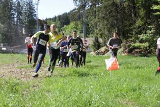 Campionato trentino staffetta CO - 18/05/2014