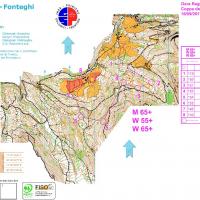 Gare a Valpiana 2017 - Mappe di gara middle