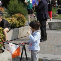 Belluno - 11/04/2015