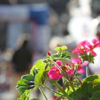 Campionato Nazionale CSI - 27/09/2014