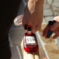 Campionato Nazionale CSI - 27/09/2014